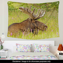 Moose In The Meadow Wall Art 52155880