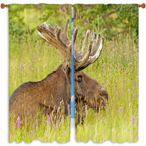 Moose In The Meadow Window Curtains 52155880