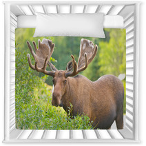 Moose In Velvet Feeding In The Wilderness Nursery Decor 51494636