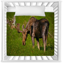 Moose Nursery Decor 38858237