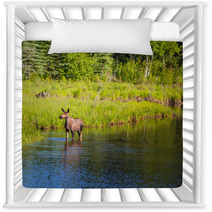Moose Nursery Decor 63032273