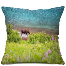 Moose Pillows 51894679