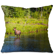 Moose Pillows 63032273