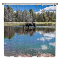 Moose Standing In Reflecting Lake Bath Decor 67103644