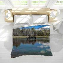 Moose Standing In Reflecting Lake Bedding 67103644