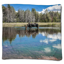 Moose Standing In Reflecting Lake Blankets 67103644