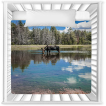 Moose Standing In Reflecting Lake Nursery Decor 67103644