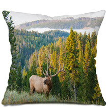Morning Elk Pillows 55751453