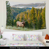 Morning Elk Wall Art 55751453
