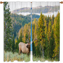 Morning Elk Window Curtains 55751453
