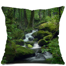Mossy Waterfall Pillows 23470543