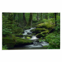 Mossy Waterfall Rugs 23470543