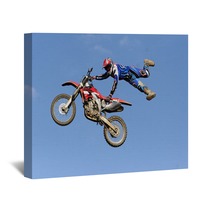 Motocross Freestyle Wall Art 183251840