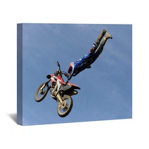 Motocross Freestyle Wall Art 185674930