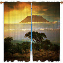 Mount Kilimanjaro. Savanna In Amboseli, Kenya Window Curtains 49494611