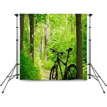 Mountain Bike On The Trail In The Forest Backdrops 54118356