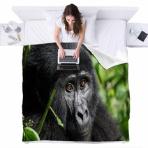 Mountain Gorilla  Bwindi Uganda Blankets 47558991