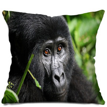 Mountain Gorilla  Bwindi Uganda Pillows 47558991