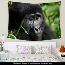Mountain Gorilla  Bwindi Uganda Wall Art 47558991