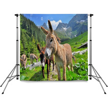 Mountain Valey Landscape With Donkeys Backdrops 66730466