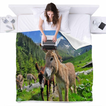Mountain Valey Landscape With Donkeys Blankets 66730466