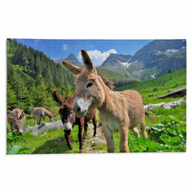 Mountain Valey Landscape With Donkeys Rugs 66730466