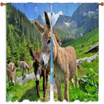 Mountain Valey Landscape With Donkeys Window Curtains 66730466