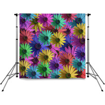 Multi Colored Daisy Flowers Pattern Background Backdrops 2235135