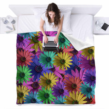 Multi Colored Daisy Flowers Pattern Background Blankets 2235135