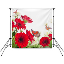 Multi-colored Gerbera Daisies And Butterfly Backdrops 57889023