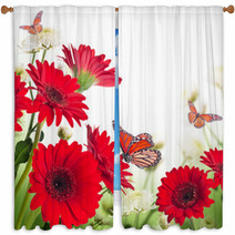 Multi-colored Gerbera Daisies And Butterfly Window Curtains 57889023