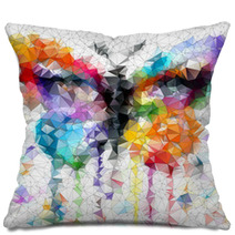 Multicolor Bright Butterfly Abstract Geometric Background Pillows 63233751