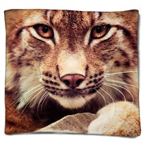 Muzzle Of Wild Lynx Close-up Blankets 73721168