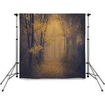 Mysterious Foggy Forest With A Fairytale Look Backdrops 63658697