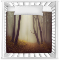 Mysterious Foggy Forest With A Fairytale Look Nursery Decor 63658689