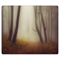 Mysterious Foggy Forest With A Fairytale Look Rugs 63658689