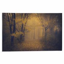 Mysterious Foggy Forest With A Fairytale Look Rugs 63658697