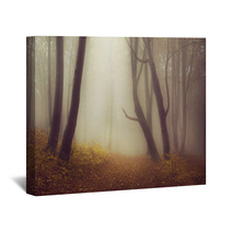 Mysterious Foggy Forest With A Fairytale Look Wall Art 63658689