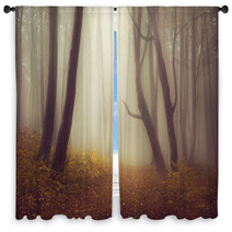 Mysterious Foggy Forest With A Fairytale Look Window Curtains 63658689