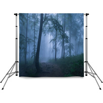 Mysterious Forest Backdrops 64506520