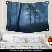 Mysterious Forest Wall Art 64506520