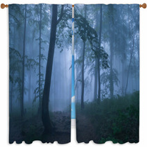Mysterious Forest Window Curtains 64506520