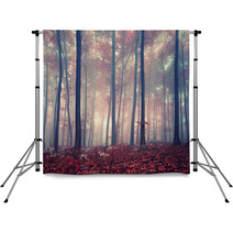 Mystic Forest Backdrops 56902756