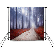 Mystic Forest Road Backdrops 58438212