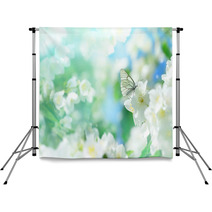 Natural Background With Butterfly On The Branch Of Blooming Jasmine Spring Scene Backdrops 193461163