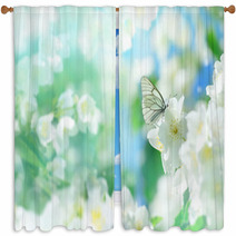 Natural Background With Butterfly On The Branch Of Blooming Jasmine Spring Scene Window Curtains 193461163