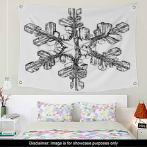 Natural Crystal Snowflake Macro Wall Art 59472838