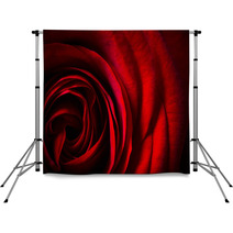 Natural Red Roses Background Backdrops 60491123