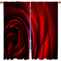 Natural Red Roses Background Window Curtains 60491123