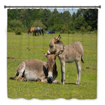 New Forest Hampshire England UK Mother And Baby Donkey Summer Sunshine Bath Decor 85720363